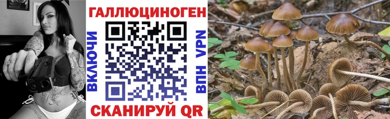 Псилоцибиновые грибы GOLDEN TEACHER  shop какой сайт  Выкса 